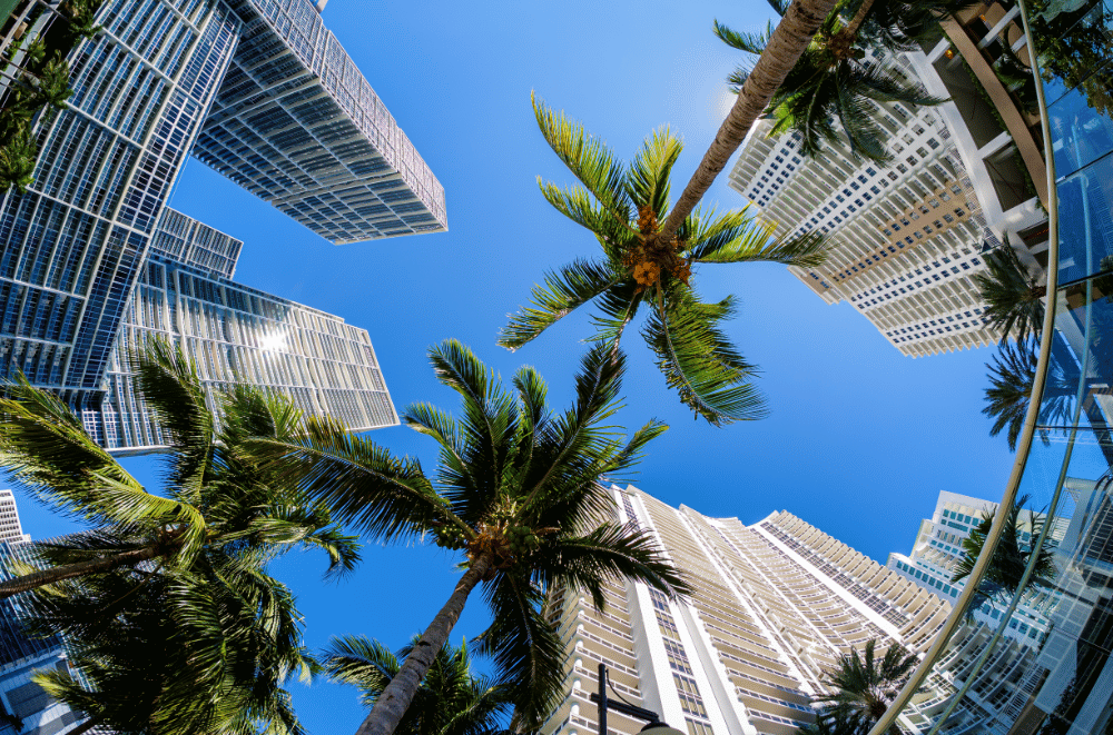 renting in miami and fort lauderdale